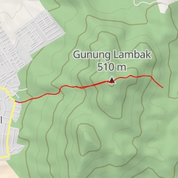 thumbnail for Kluang big tree