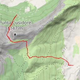 thumbnail for Palestra Rocca