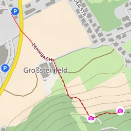 thumbnail for Stelzhammer-Ruh