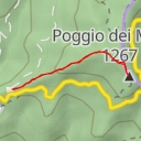 thumbnail for Poggio dei Mandrioli