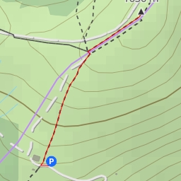 thumbnail for Peter Bergner Warte