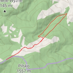 thumbnail for Tanecznik