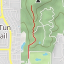 thumbnail for Bamboo Curved View