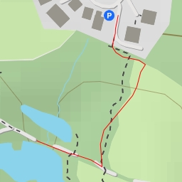 thumbnail for Wasservögel auf Teichen und Bächen - Am Tiergarten