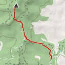 thumbnail for Puig Alt de la Nespleda