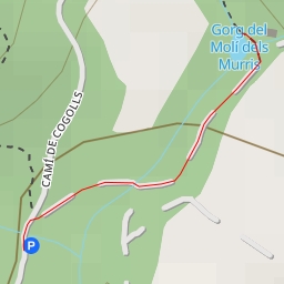 thumbnail for Gorg del Molí dels Murris