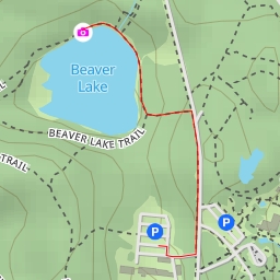 thumbnail for Beaver Lake Trail - Vancouver