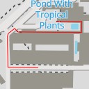 thumbnail for Pond With Tropical Plants