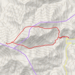 thumbnail for کلاغ لانه