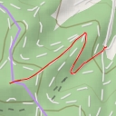 thumbnail for Spitzenberg