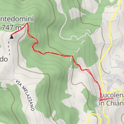 thumbnail for Monte Domini