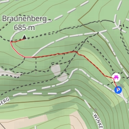 thumbnail for Braunenberg