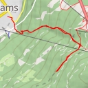 thumbnail for Ladner Steig Zams