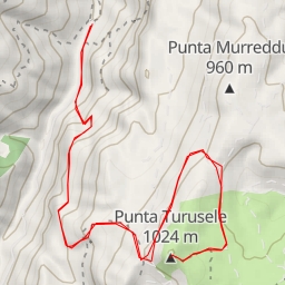 thumbnail for Punta Turusele