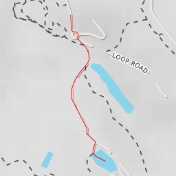 thumbnail for Blue Gum Road - Blue Gum Road - Newcastle-Maitland