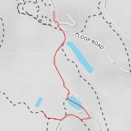 thumbnail for Blue Gum Road - Blue Gum Road - Newcastle-Maitland