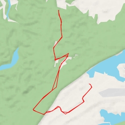 thumbnail for "Палітра лісу" екологічна стежка - "Палітра лісу" екологічна стежка