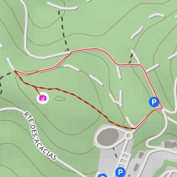 thumbnail for Pt de vue