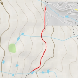 thumbnail for Lily Pad Trail - Lily Pad Trail