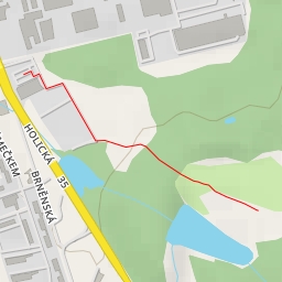 thumbnail for divoký kůň z Exmooru - Holická - Hradec Králové