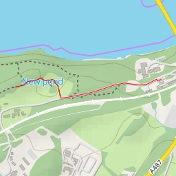 thumbnail for Old pond