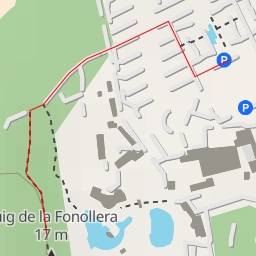 thumbnail for Pi Gros de la Fonollera