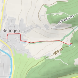 thumbnail for Rue Wenzel