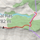 thumbnail for Pical Ras