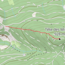 thumbnail for Tête des Mineurs