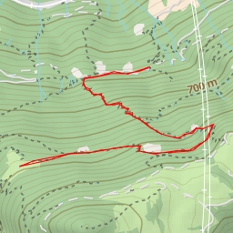 thumbnail for Via Ronco Ferrini