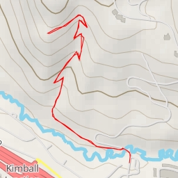 thumbnail for Swaner Preserve