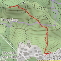 thumbnail for 獅子頭 Lion Head