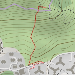 thumbnail for 天梯石