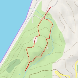 thumbnail for ბათუმის ბოტანიკური ბაღი - თბილისის V შესახვევი - ბათუმი