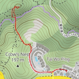 thumbnail for 鷹巢山自然教育徑 Eagle's Nest Nature Trail - 沙田區 Sha Tin District