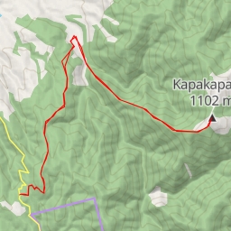 thumbnail for Kapakapanui