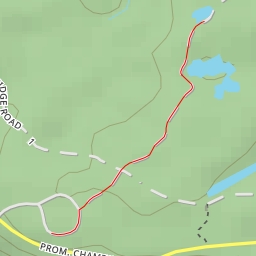 thumbnail for Trail #3 - Trail #3