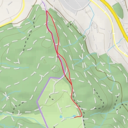 thumbnail for Chilchwisweg - Chilchwisweg