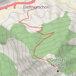 thumbnail for Γκορίλας