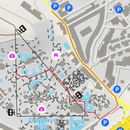 thumbnail for Flamingo-rubro - Praça Marechal Humberto Delgado - Lisboa