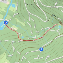 thumbnail for Route Forestière du Fayé - Route Forestière du Fayé