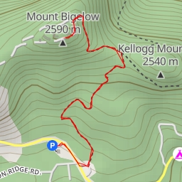 thumbnail for Mount Bigelow