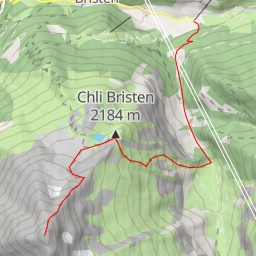 thumbnail for Bristen