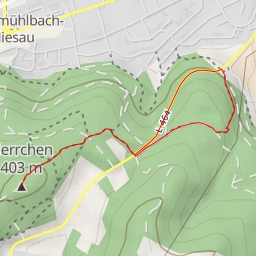 thumbnail for Herrchen