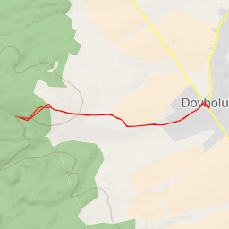 thumbnail for Лісівник