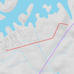 thumbnail for TreeTop Walk