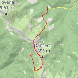 thumbnail for ЗАРОСЛИ СОСНЫ КАРПАТСКОЙ (Очень сложно продираться)