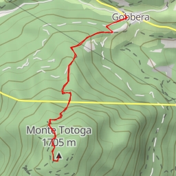 thumbnail for Monte Totoga