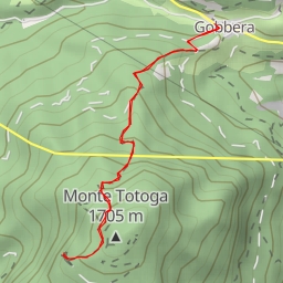thumbnail for Strada forestale Totoga