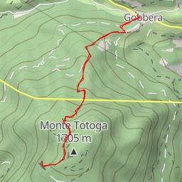 thumbnail for Strada forestale Totoga